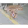 TABLE BASSE RACINE TECK