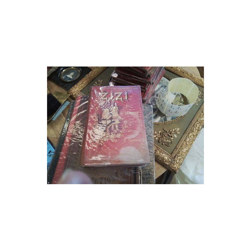 LIVRE ANCIEN RELIE RGE ZIZI