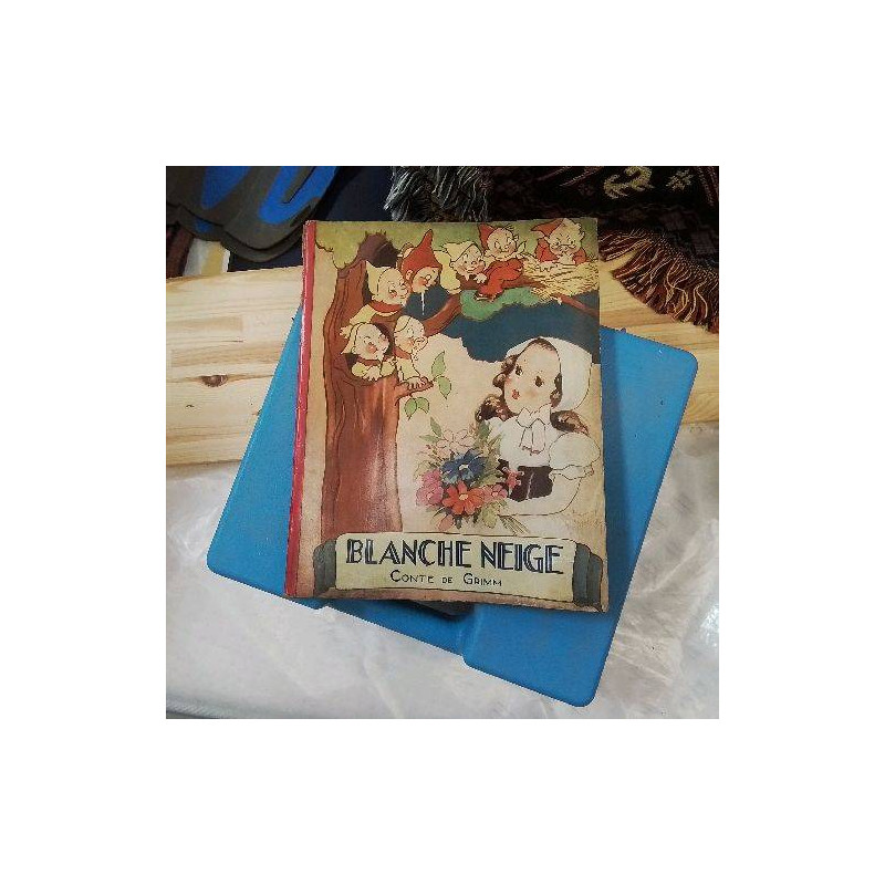 LIVRE BLANCHE NEIGE VINTAGE