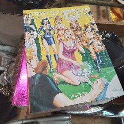 LIVRE ERIC STANTON