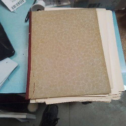 LIVRE LES QUINZE JOYES DE...