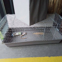 CAISSE POUR LAPIN 