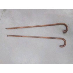 CANNE ANC